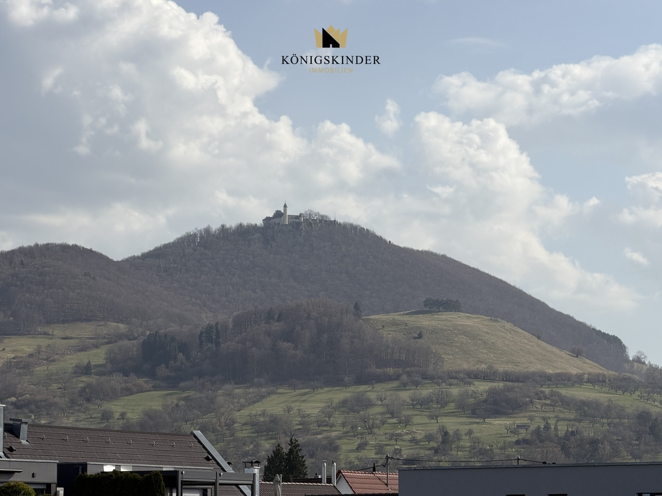 Teckblick