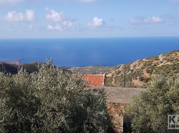Aussicht