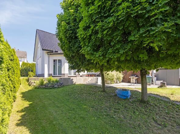 Garten #3