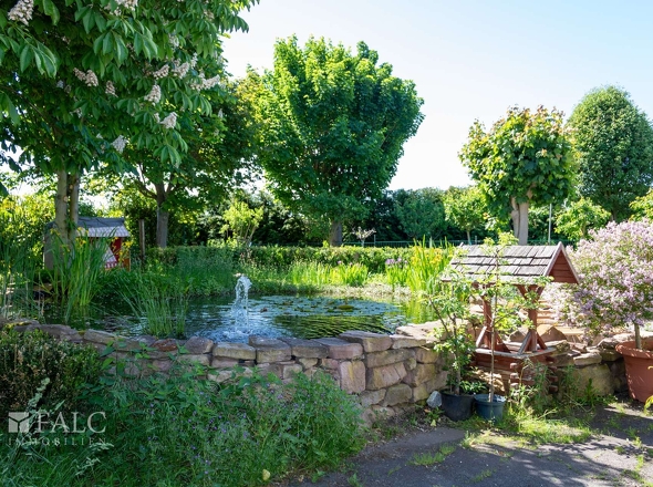 Gartenteich