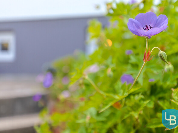 Blumenduft