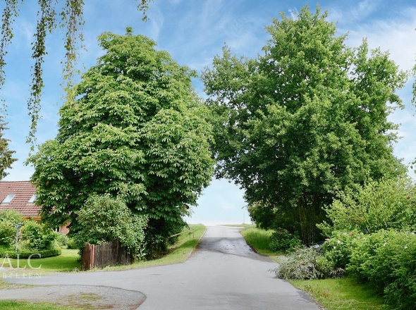 Weg zum Deich