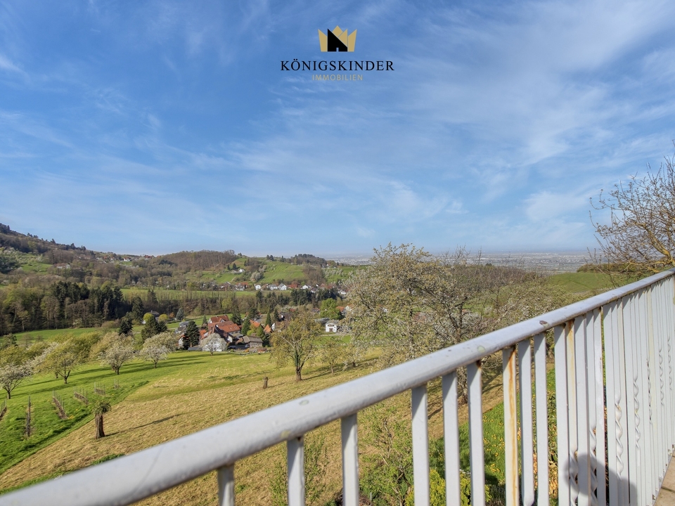 Traumhafter Blick vom Balkon ins Rheintal