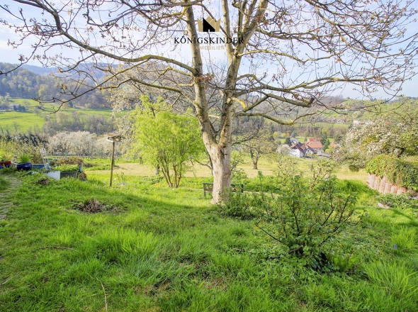 Erholung im Garten...