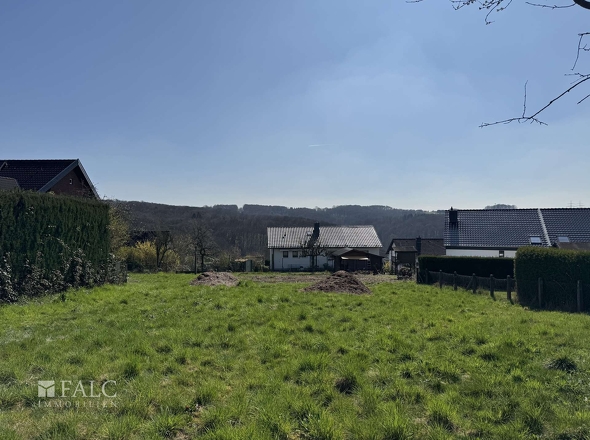 Blick vom vorderen Grundstück