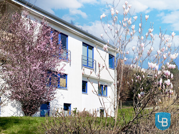 Frühlingserwachen