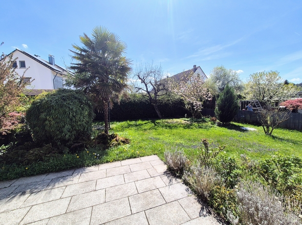 Blick in den Garten