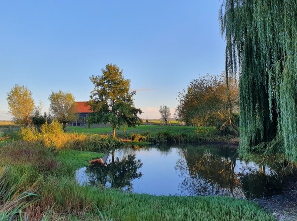 Teich / Ferienhaus