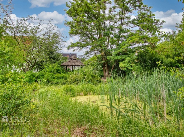 Garten mit Teich