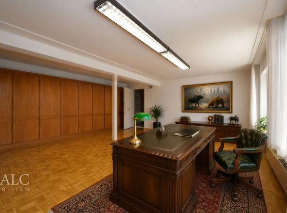 Arbeitszimmer im Souterrain
