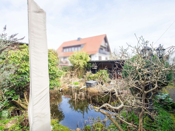 Gartenteich