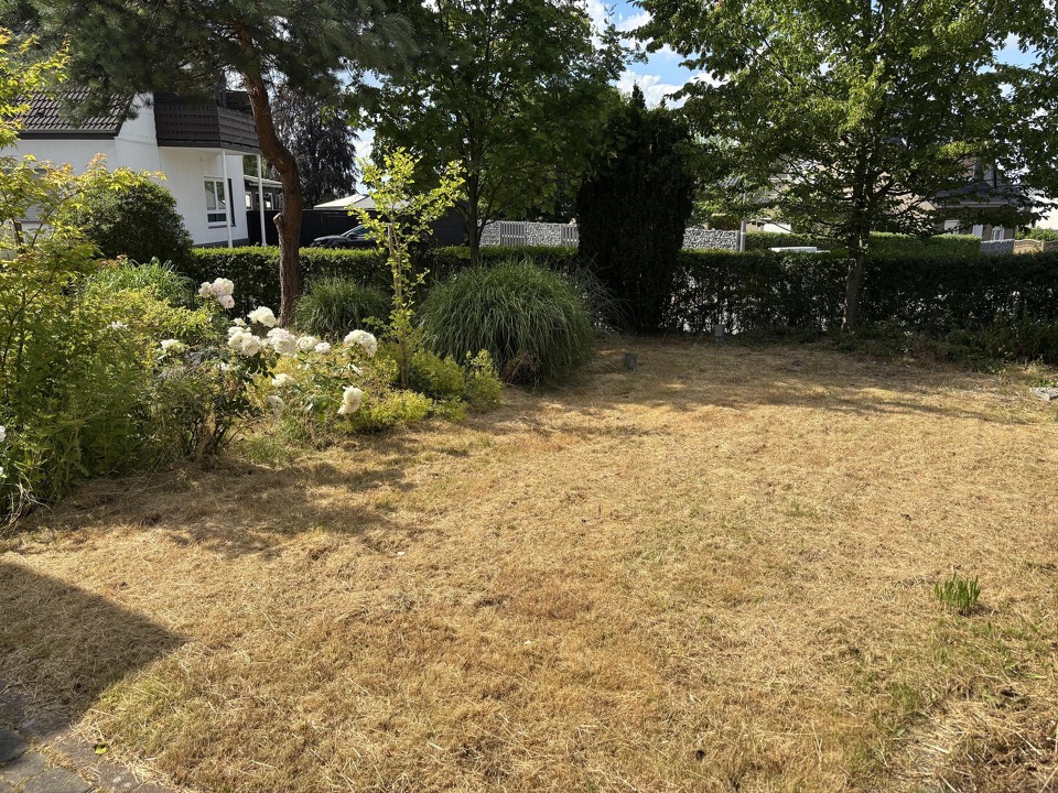 Garten vorn