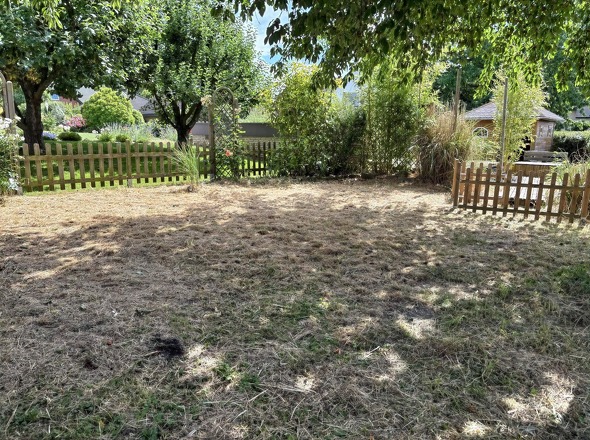 Garten hinten