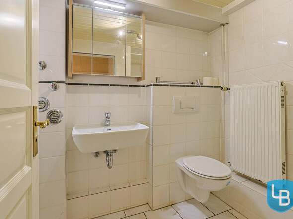 Duschbad und WC im Souterrain 