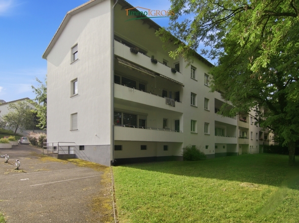 Das Haus von hinten