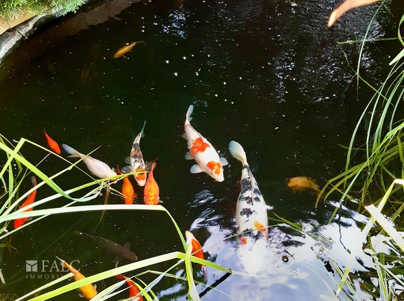 Gartenteich