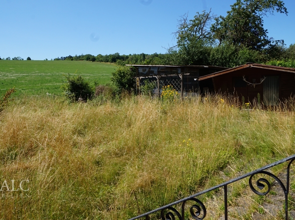 Blick in den Garten
