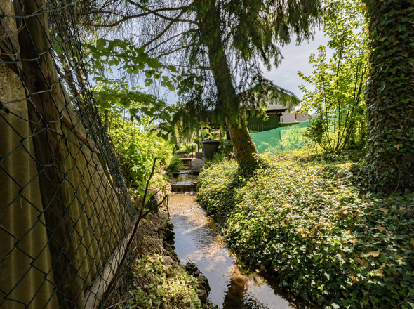 Bachlauf