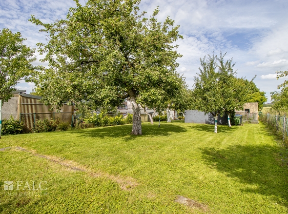 Garten hinten