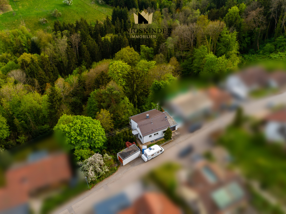 Real Estate Title Image Background