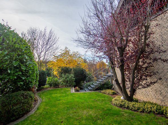 11144 Garten (3)