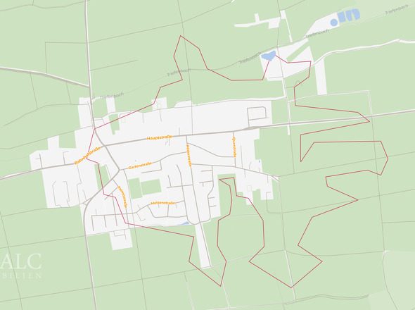 Site plan (micro)
