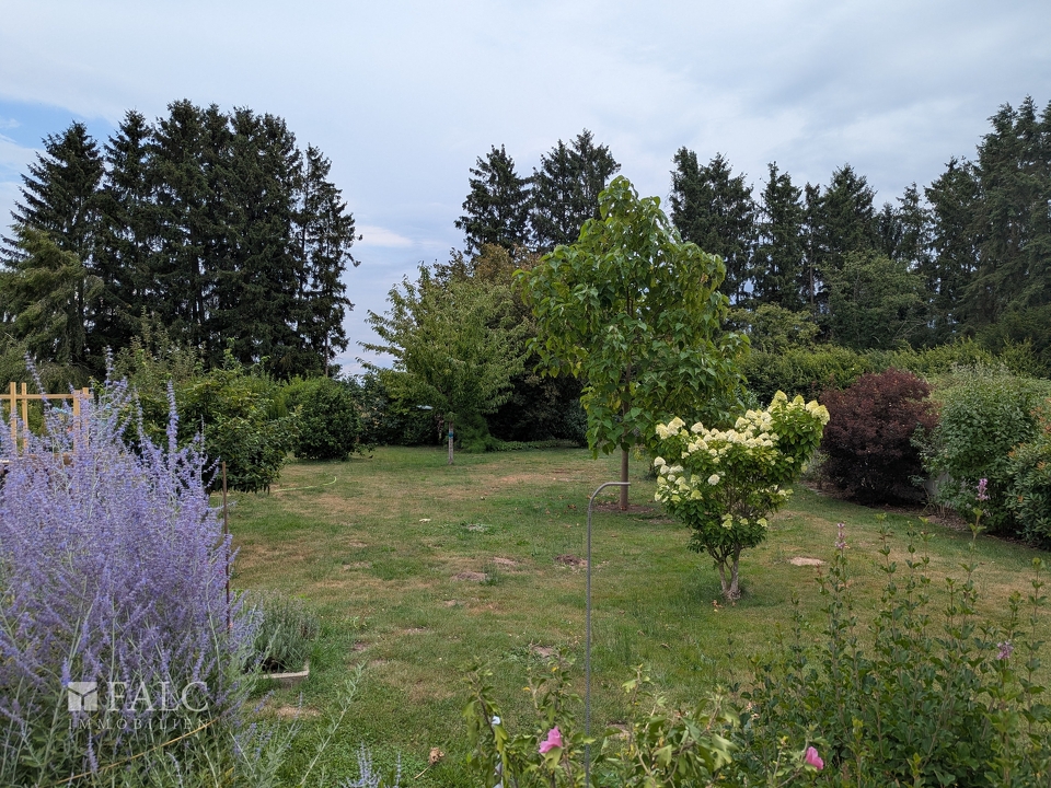 Garten II