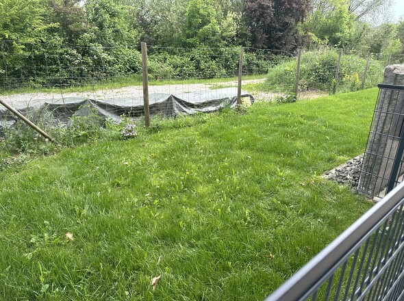 Gemeinschaftsgarten