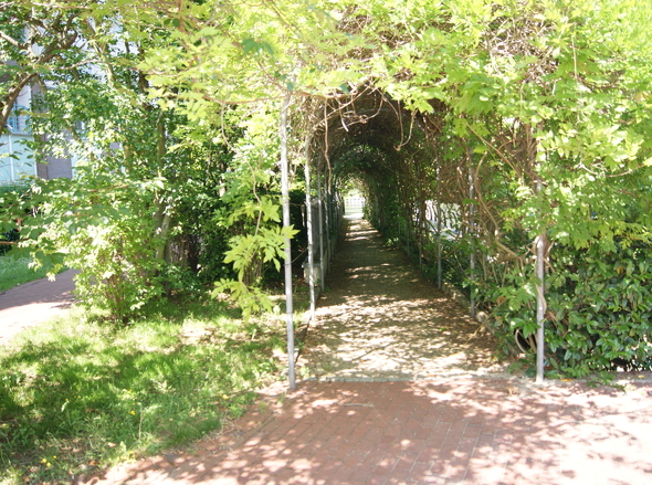 DSC00681