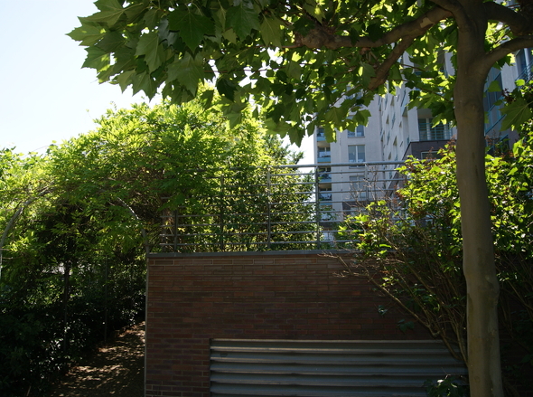 DSC00688