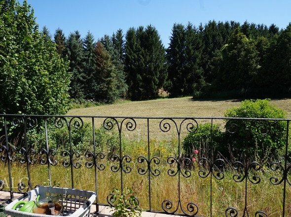 Blick von der Terrasse