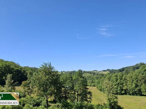 Umfeld