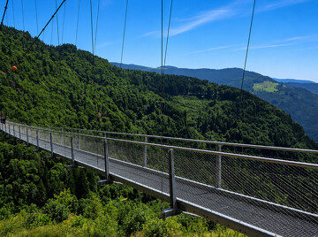 Beliebte Blackforestline