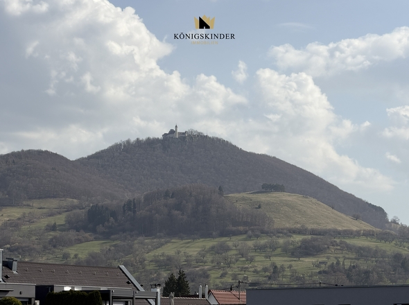 Teckblick