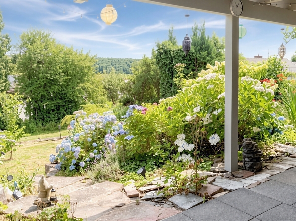 Blick in den Garten