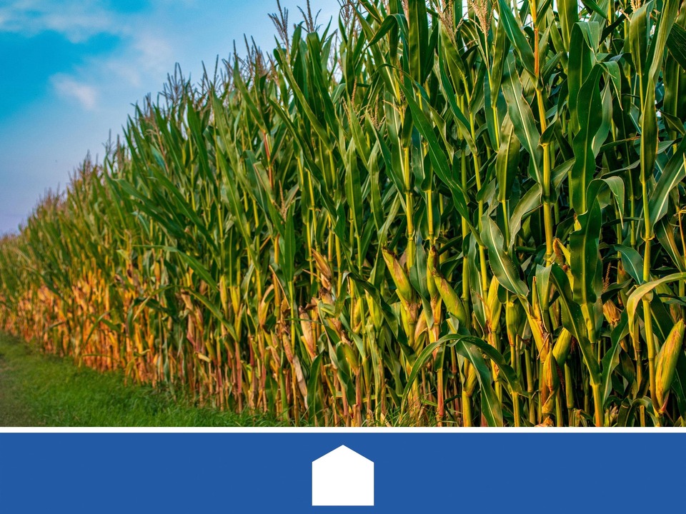 Real Estate Title Image Background