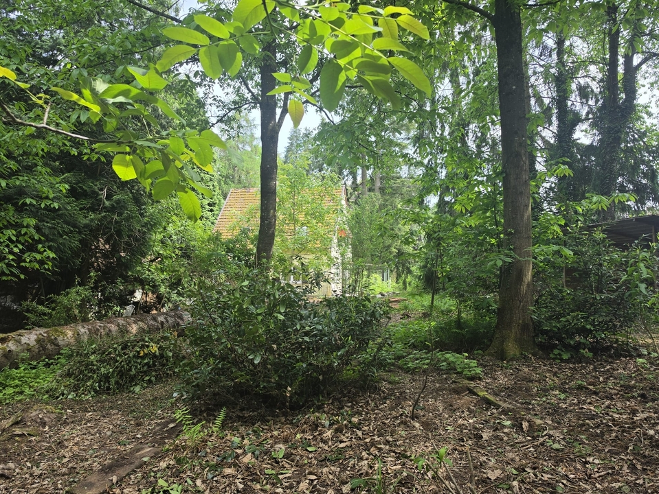 Grundstück