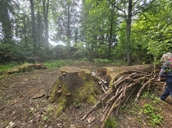 Grundstück
