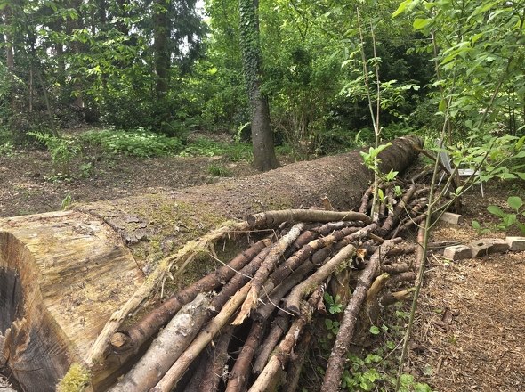 Grundstück