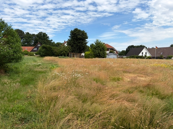 Blick von hinten