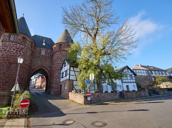 Außenansicht lV