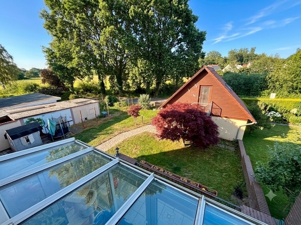 Blick in den Garten