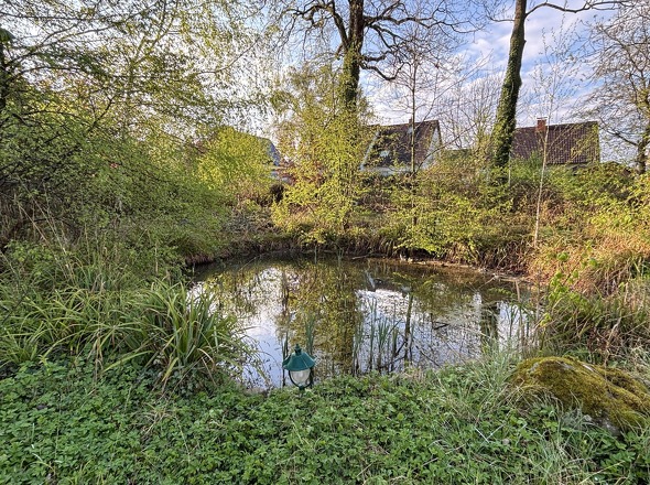 Gartenteich/Bauplatz
