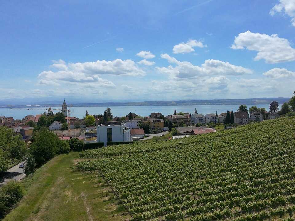 Seesicht
