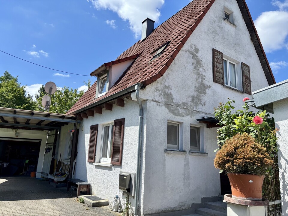 Eingang mit Zufahrt Garage