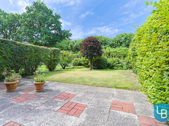 Blick in den Garten 