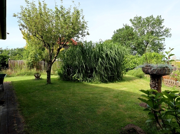 Garten mit Teich