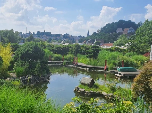 Teich