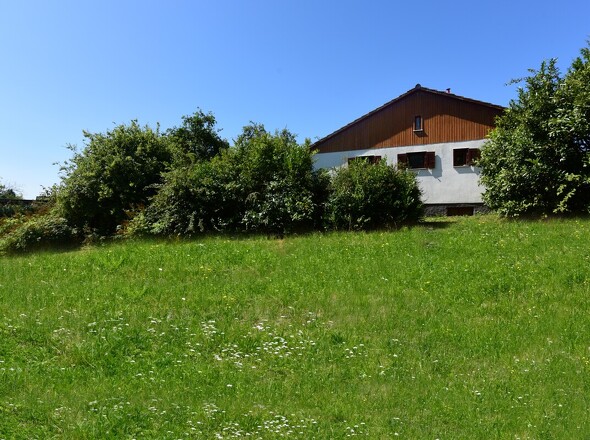 Außenanlage/Baugrundstück