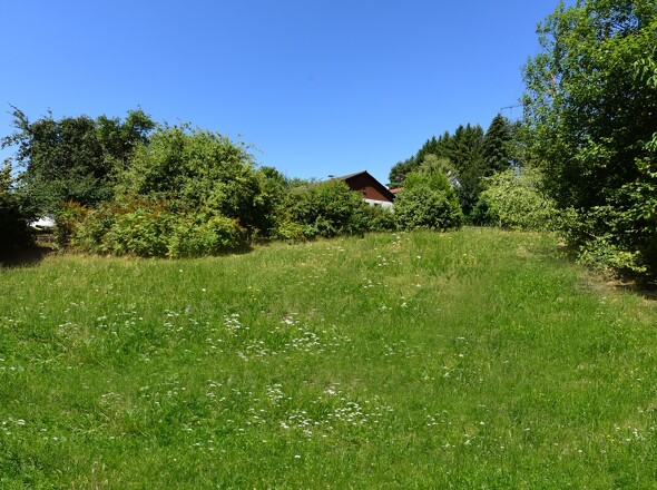 Außenanlage